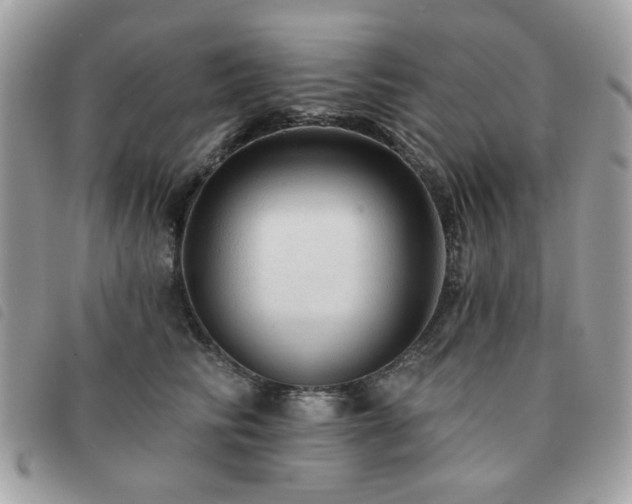 X0000091530710200708171221