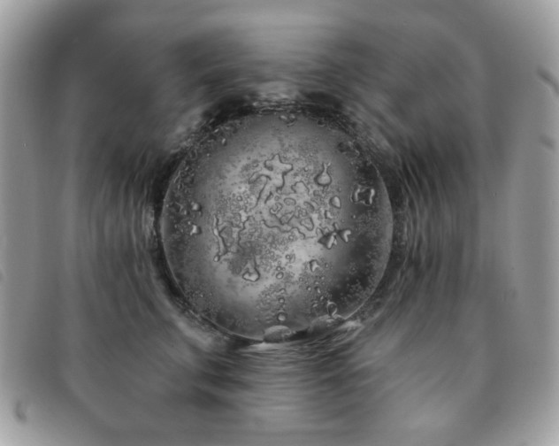 X0000091530711200708171221