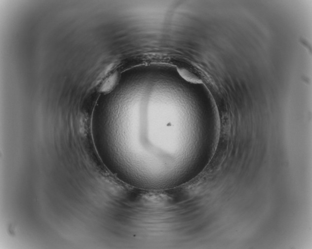 X0000091530712200708171221