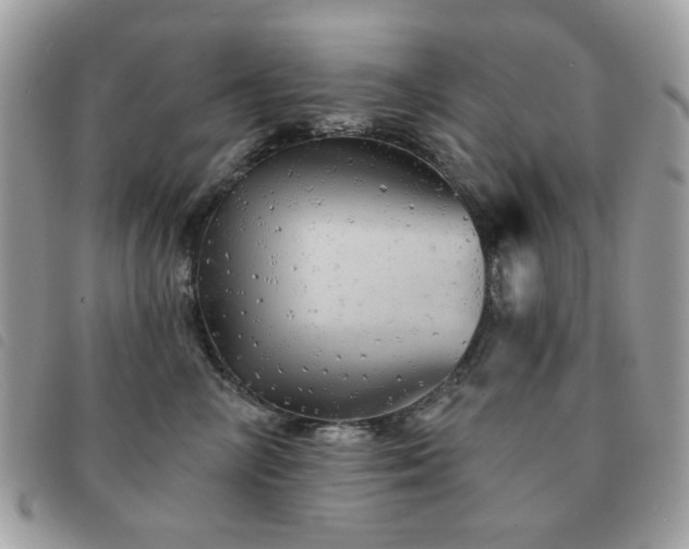 X0000091530714200708171221
