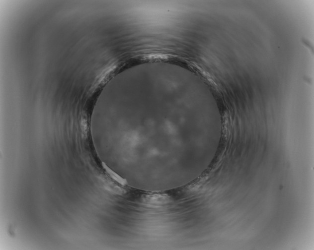 X0000091530716200708171221
