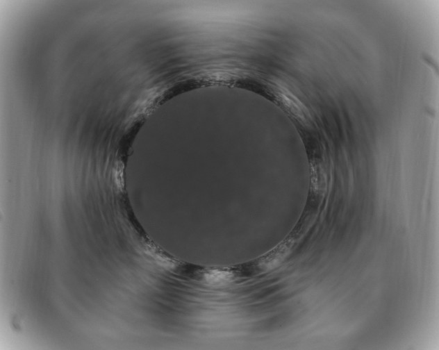 X0000091530718200708171221
