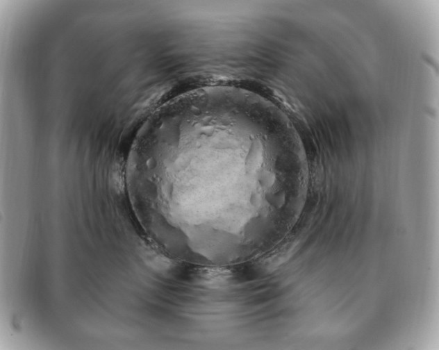 X0000091530719200708171221