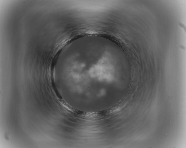 X0000091530720200708171221