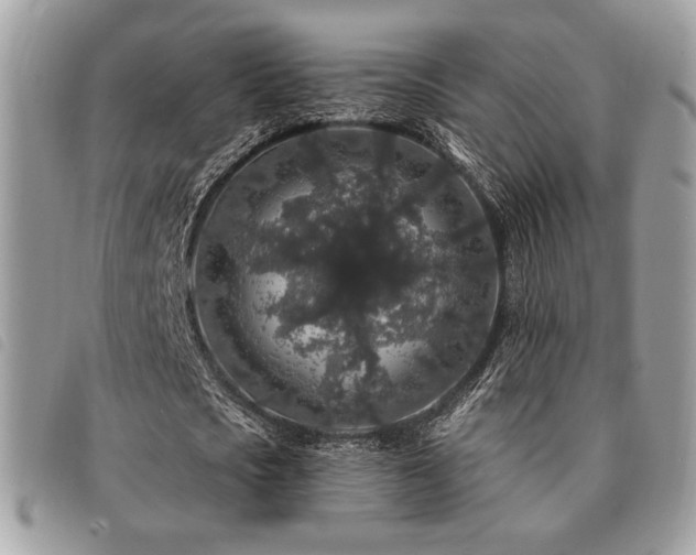 X0000091530721200708171220