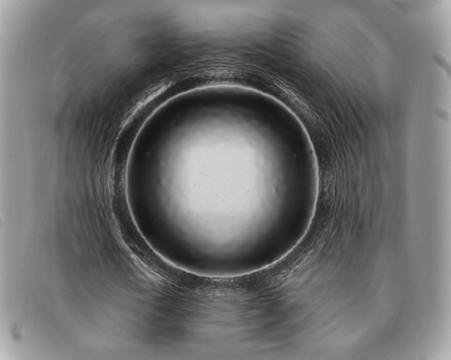 X0000091530722200708171220