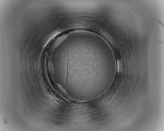 X0000091530723200708171220