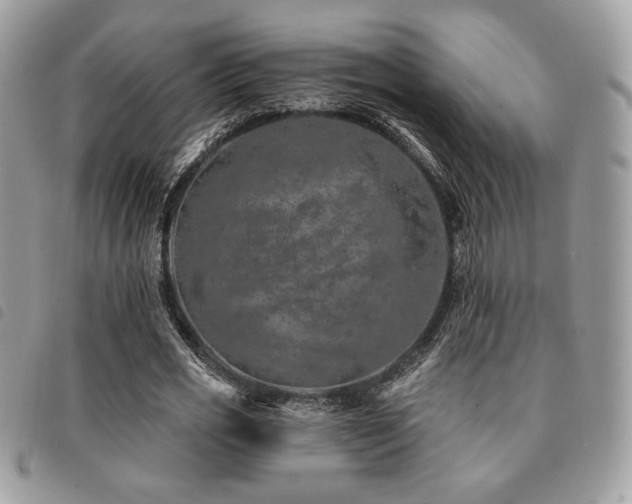 X0000091530725200708171220