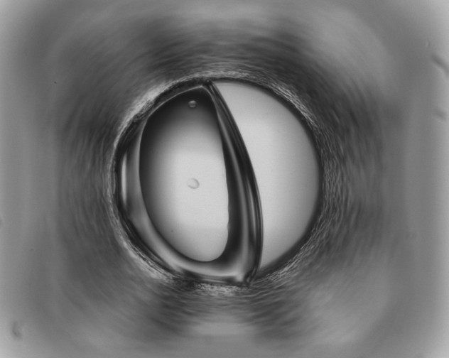 X0000091530726200708171220