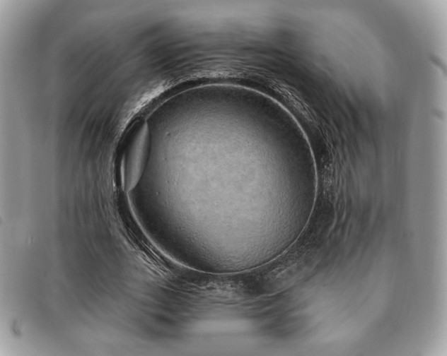 X0000091530727200708171220