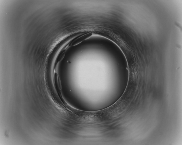 X0000091530728200708171220