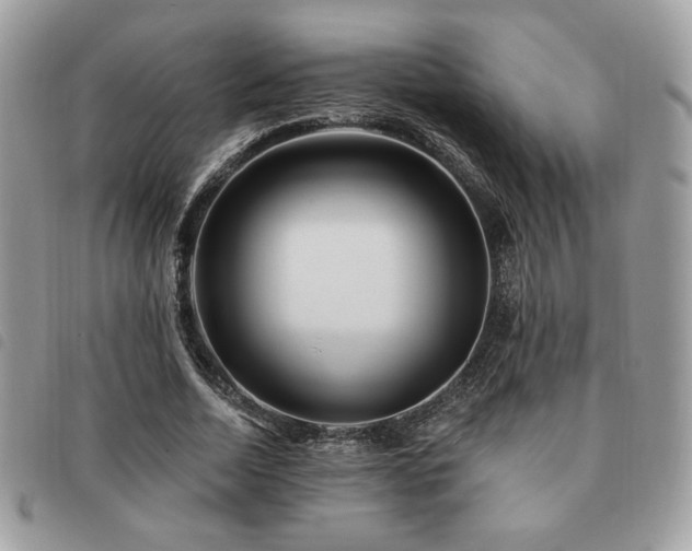 X0000091530730200708171220