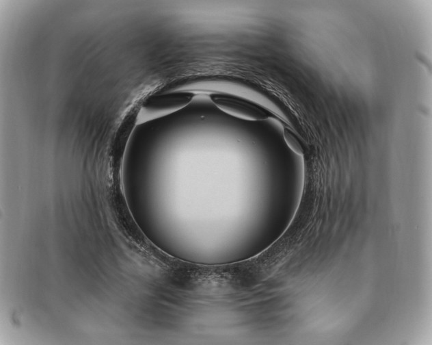 X0000091530731200708171220