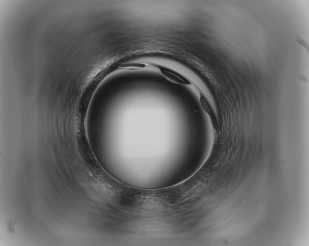 X0000091530732200708171220