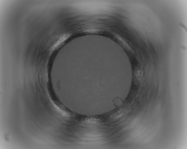 X0000091530734200708171220