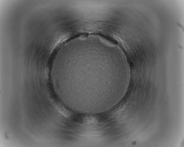 X0000091530735200708171220