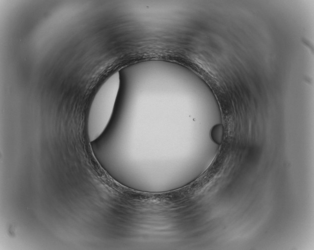 X0000091530737200708171220