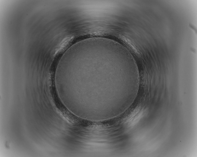 X0000091530738200708171220