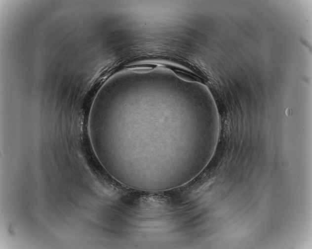 X0000091530739200708171220