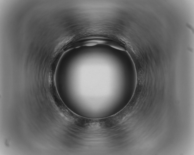 X0000091530740200708171220