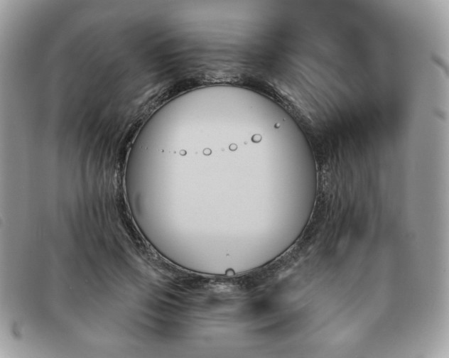X0000091530741200708171220