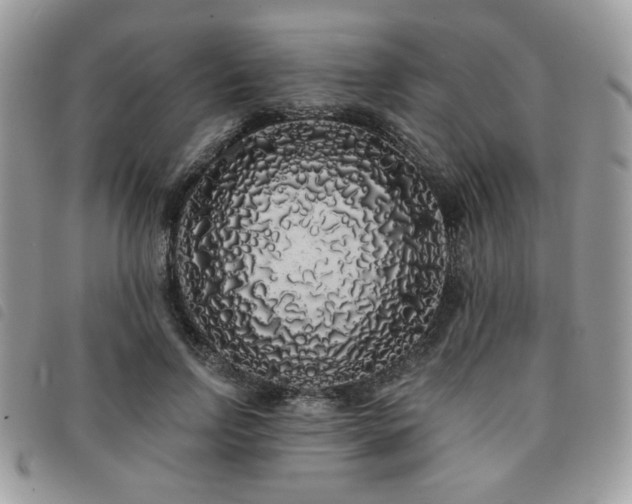 X0000091530742200708171220
