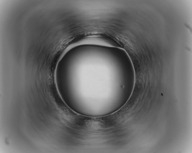 X0000091530743200708171220