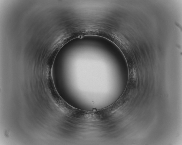 X0000091530744200708171220