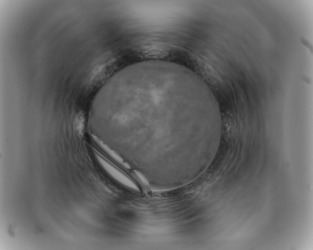 X0000091530745200708171220