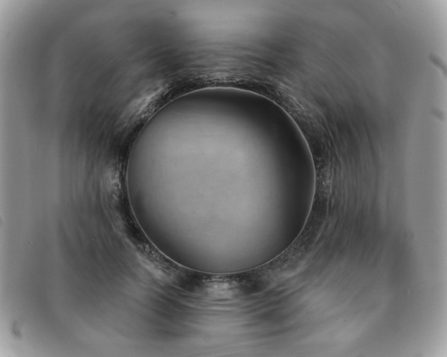 X0000091530746200708171220