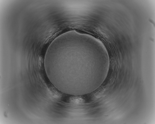 X0000091530747200708171220