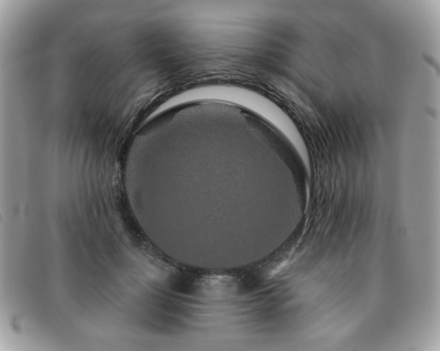 X0000091530748200708171220