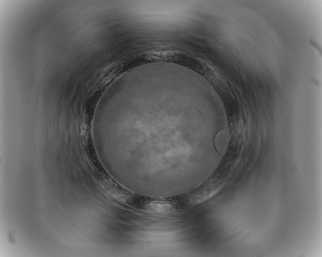 X0000091530749200708171220