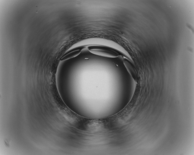 X0000091530750200708171220