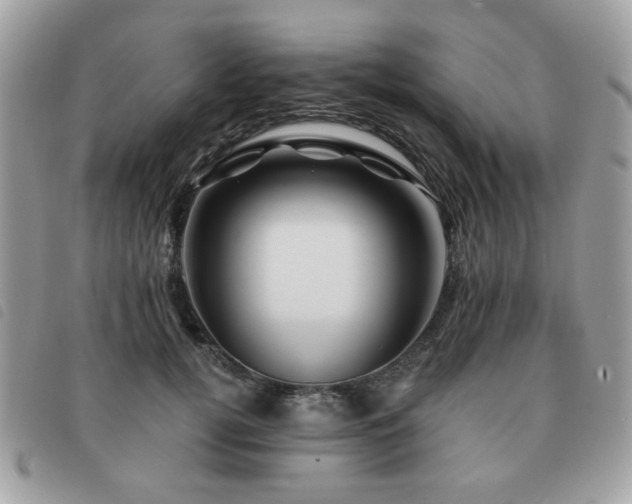 X0000091530752200708171220