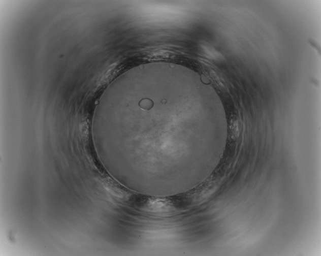 X0000091530753200708171220
