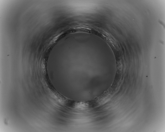 X0000091530754200708171220