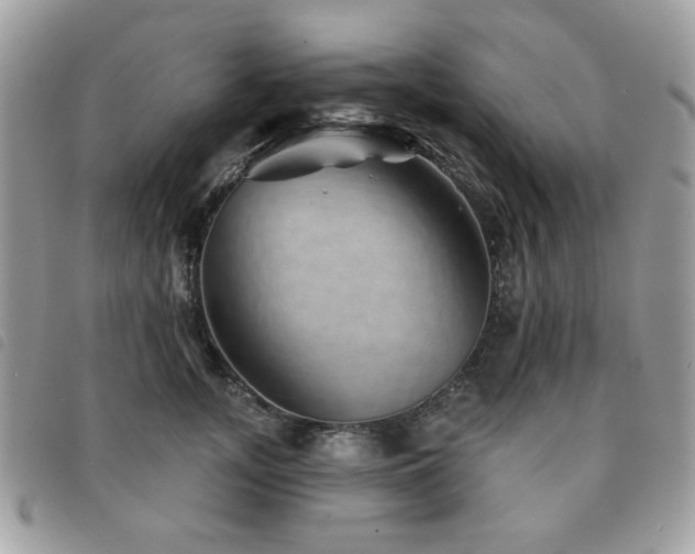 X0000091530755200708171220