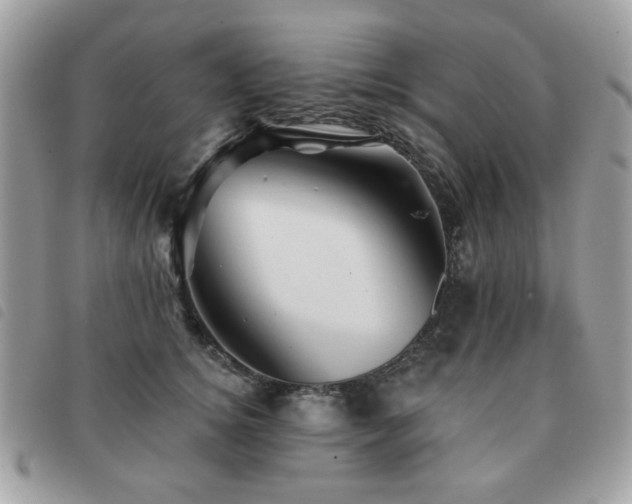 X0000091530756200708171220