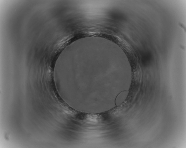 X0000091530757200708171220