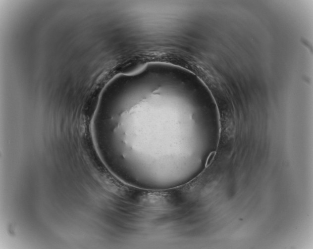 X0000091530758200708171220