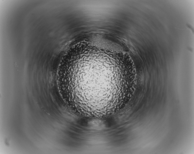 X0000091530759200708171220