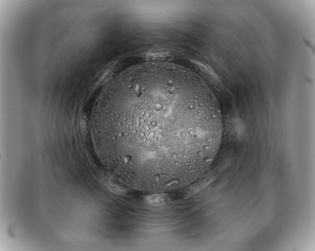 X0000091530761200708171220