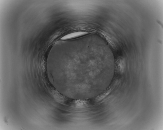 X0000091530762200708171220