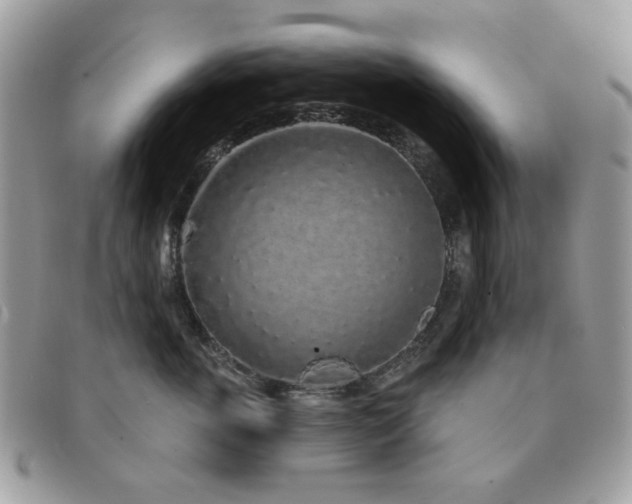X0000091530763200708171220