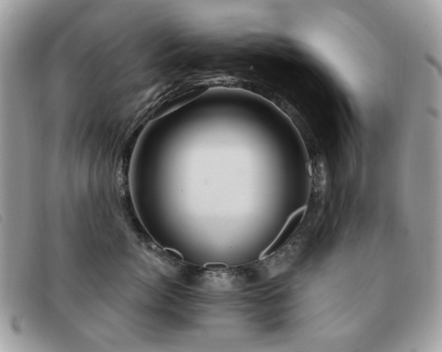 X0000091530764200708171220