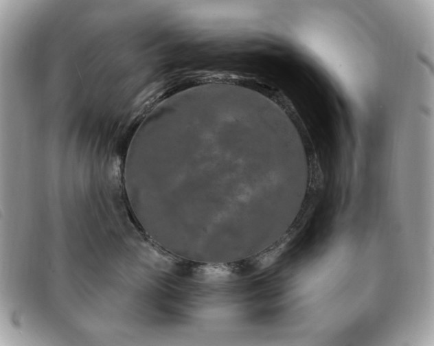 X0000091530765200708171220