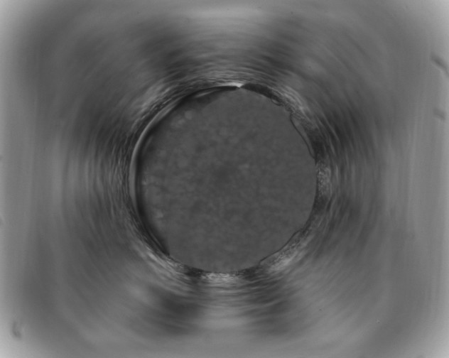 X0000091530766200708171220