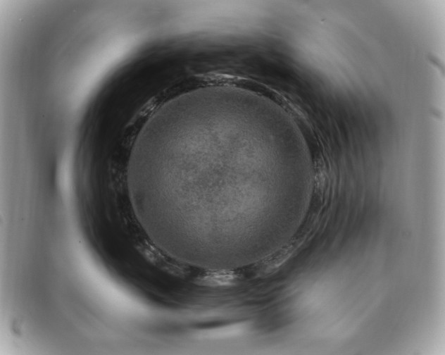 X0000091530767200708171220