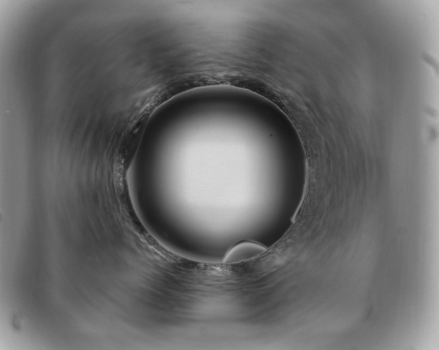 X0000091530768200708171221